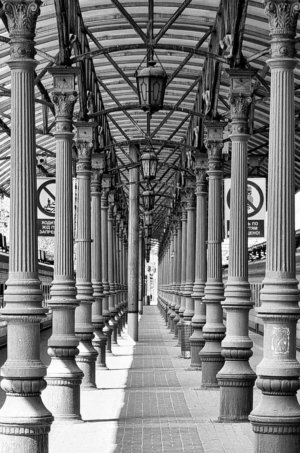 Svetlana Alekseeva columns black and white