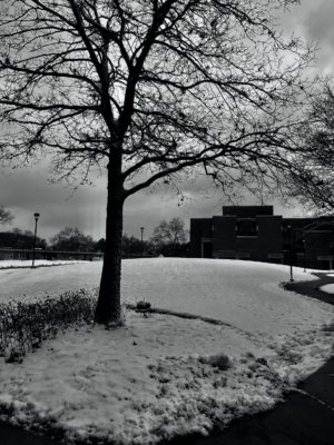 Robby Ker Chicago monochrome snow