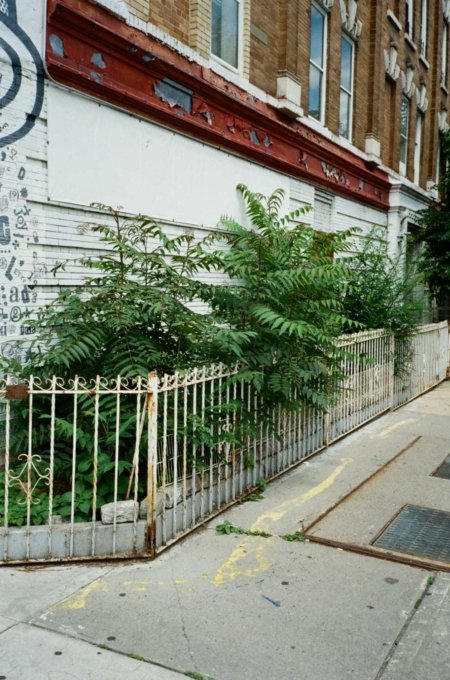 bedfordtowers williamsburg fence