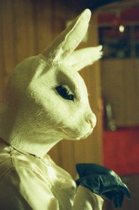 Liam-Milne-000780850028