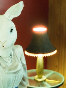 Liam-Milne-000780850034