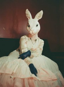 Liam-Milne-000781090006