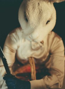 Liam-Milne-000781090011