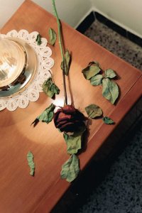 Marina-Rodriguez-korakulture-_DSF4408