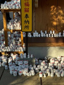 symphony of views Maneki Neko Tales