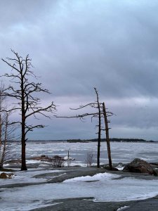 symphony of views N Time Before